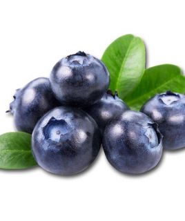 奥尼尔蓝莓 【正常发货】鲜果蓝莓，当季新鲜时令水果顺丰包邮